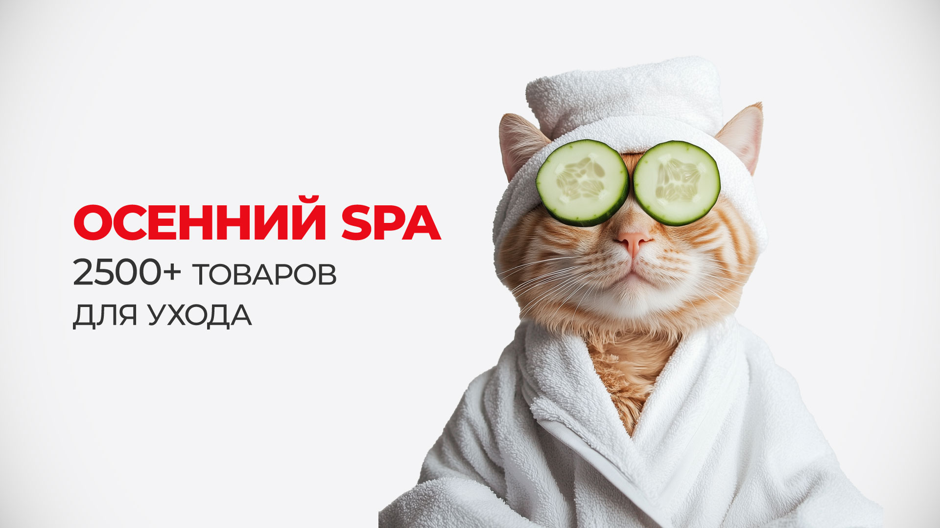 Осенний SPA. 2500+ товаров для ухода